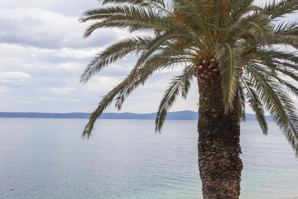 Apartments Sumic Podgora Exterior photo
